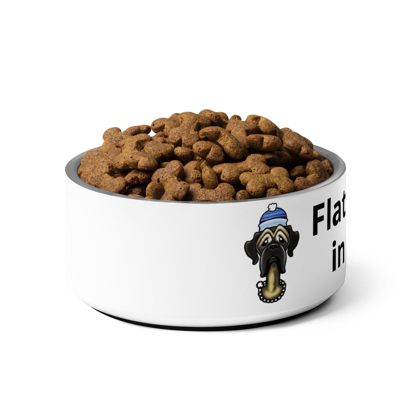 Pet bowl